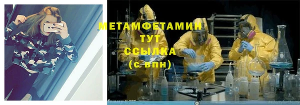 сатива Осташков