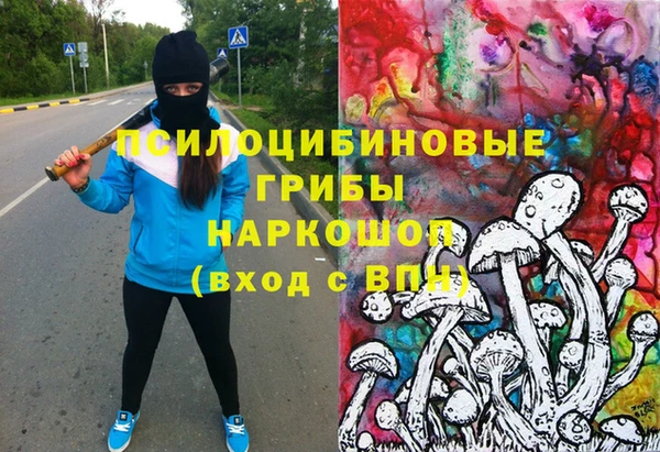 винт Балахна