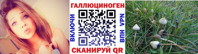 Галлюциногенные грибы Psilocybine cubensis  где найти   Надым 